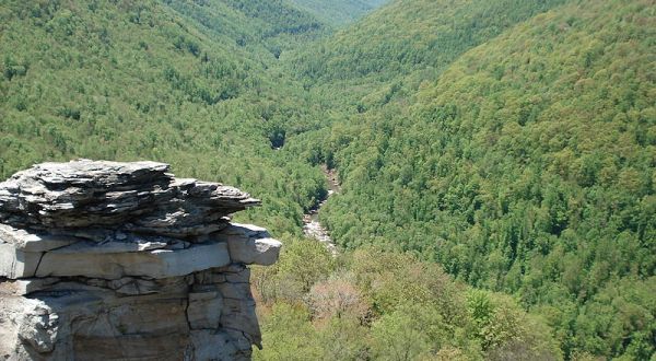 West Virginia Has A Grand Canyon, Blackwater Canyon And It’s Incredibly Beautiful