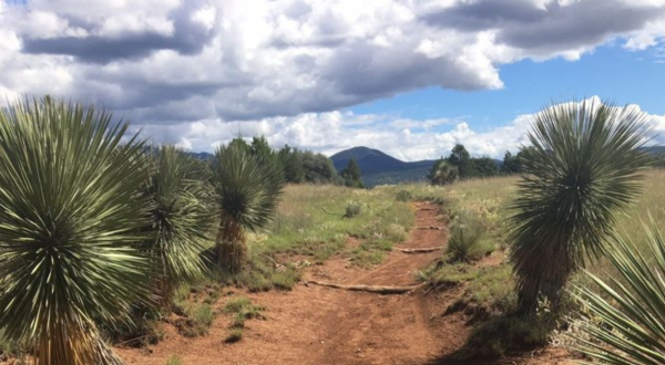 This Trail Is The Most Colorful Springtime Hike In New Mexico