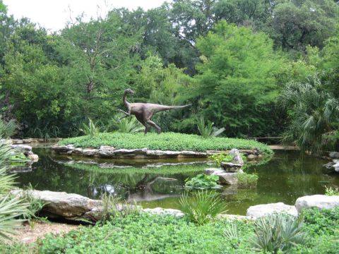 The Mystical Place in Austin Where Dinosaurs Once Roamed