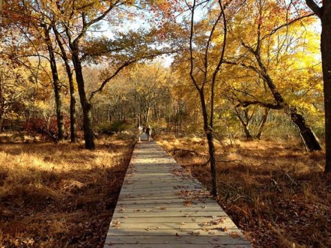 This One Easy Hike In New Jersey Will Lead You Someplace Unforgettable