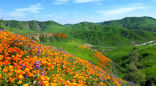 There’s A State Park In Southern California With The Greenest Rolling Hills You’ve Ever Seen