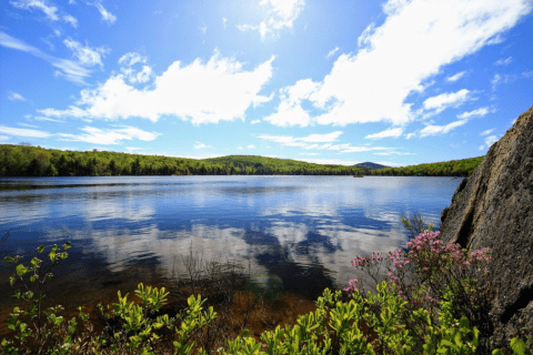 This Might Just Be The Most Underrated State Park In All Of New Hampshire