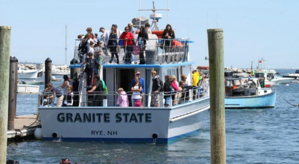 Take This Whale Watching Tour In New Hampshire For An Unforgettable Adventure