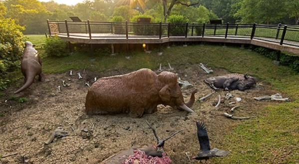 This Underrated State Park In Kentucky Is Filled With Prehistoric Surprises