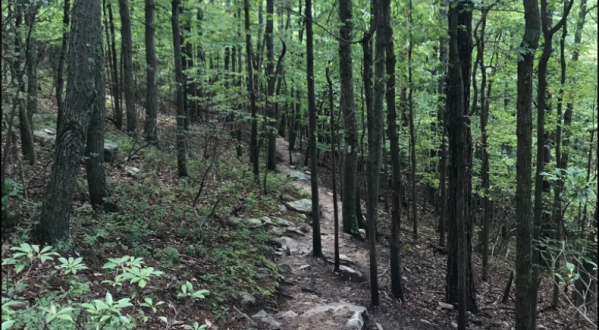 Hike Across State Lines When You Take This Gorgeous Mountain Trail In Virginia