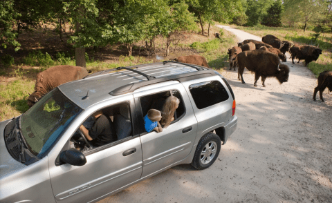 There’s A Wildlife Park In Nebraska That’s Perfect For A Family Day Trip