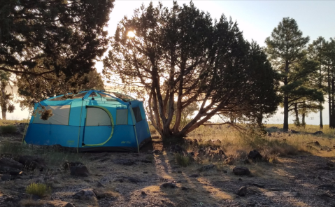 You’ll Love Waking Up To The Views At These 6 Lakeside Camping Spots In Arizona