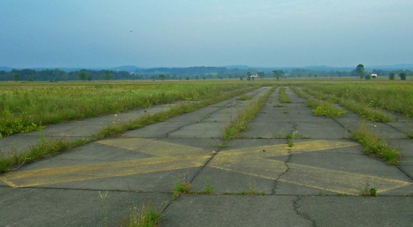 The Abandoned New York Airport That’s Been Completely Overtaken By Grasslands