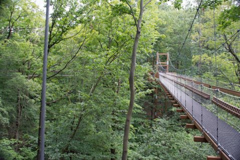 The Treetop Trail That Will Show You A Side Of Ohio You've Never Seen Before