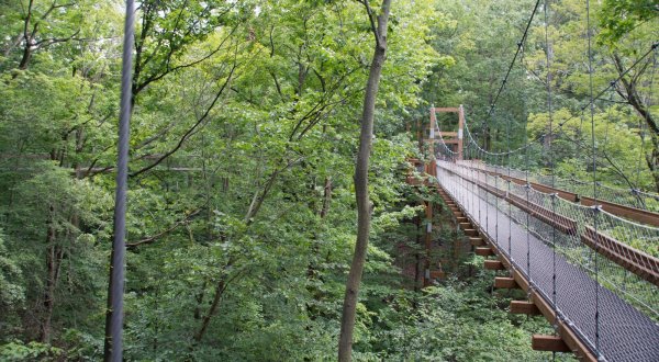 The Treetop Trail That Will Show You A Side Of Ohio You’ve Never Seen Before