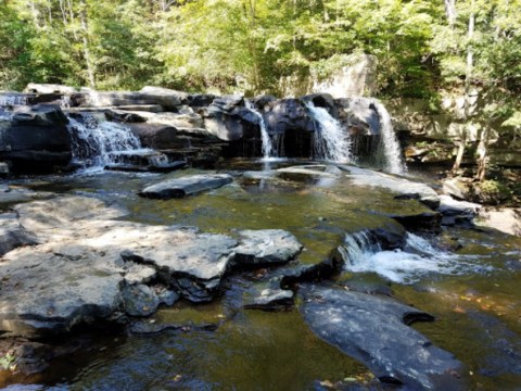 The Hike Through This West Virginia Nature Preserve Is Simply Unforgettable