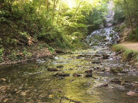 Few People Know This Amazing Natural Wonder Is Hiding In The Iowa Forest