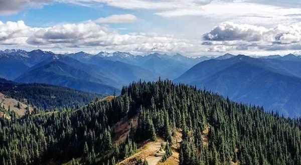 The Trail In Washington That Will Lead You On An Adventure Like No Other