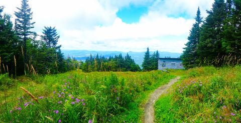 The Trail In Vermont That Will Lead You On An Adventure Like No Other