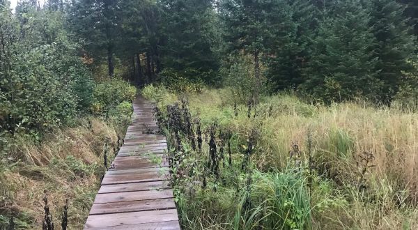 This Hike Takes You To A Place Minnesota’s First Residents Left Behind