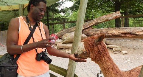 Most People Don’t Know This Maryland Zoo And Adventure Park Even Exists