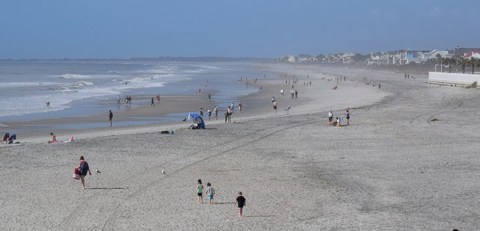 A Trip To This Fossil Beach In South Carolina Is An Adventure Like No Other
