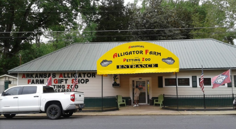 Have A Real Life Adventure At This Arkansas Alligator Farm