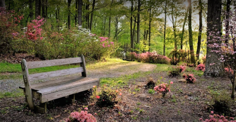 The Secret Garden Hike In Maryland Will Make You Feel Like You’re In A Fairytale