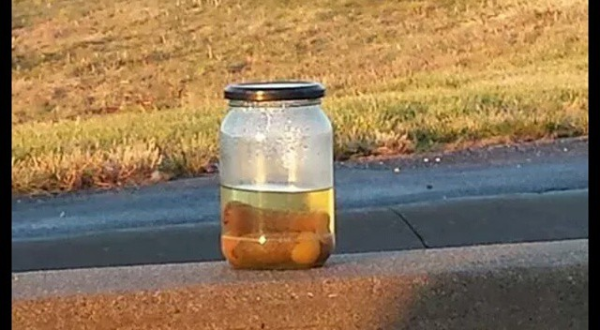 Nobody Knows Who’s Behind This Mysterious Jar Of Pickles In Missouri