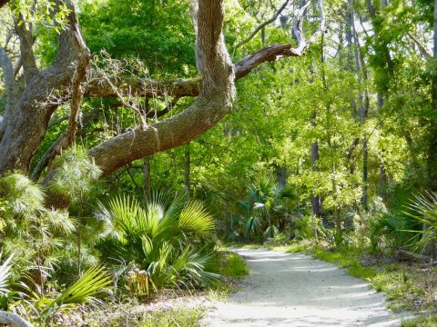 This Hike Takes You To A Place South Carolina's First Residents Left Behind