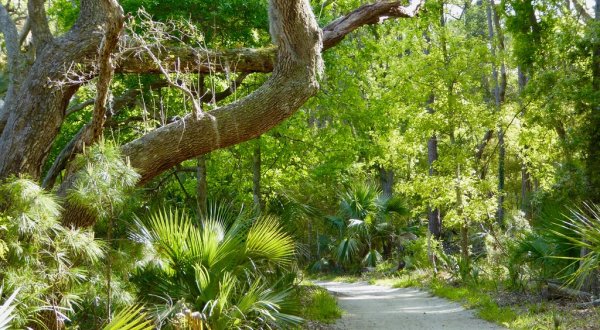 This Hike Takes You To A Place South Carolina’s First Residents Left Behind