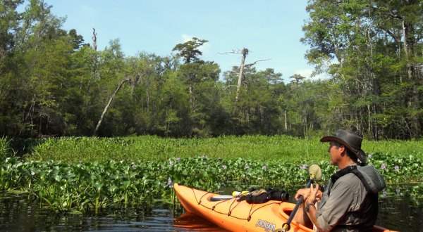 This One Of A Kind Water Tour In South Carolina Will Bring Out The Explorer In You