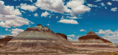 How To Plan Your Perfect Trip To Arizona's Petrified Forest