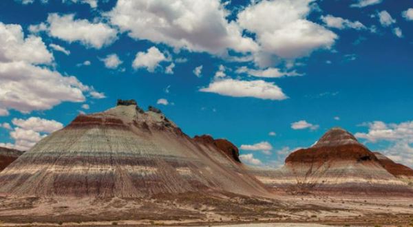 How To Plan Your Perfect Trip To Arizona’s Petrified Forest