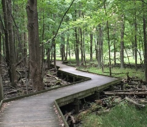 This Beautiful Boardwalk Trail In Ohio Is The Most Unique Hike Around