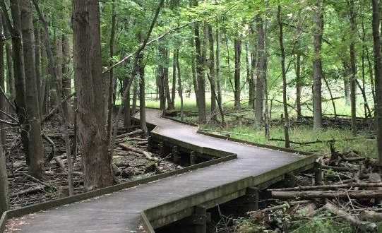 This Beautiful Boardwalk Trail In Ohio Is The Most Unique Hike Around