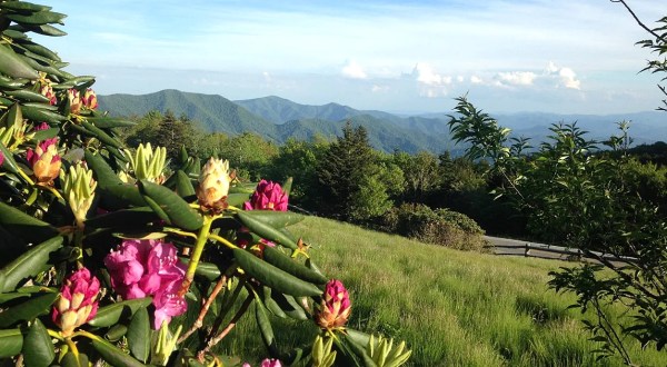 The 7 Wonders Of Tennessee Springtime You Must See Before They’re Gone