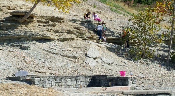 The Epic Park In Cincinnati Where You Can Take Home 300-Million-Year-Old Fossils