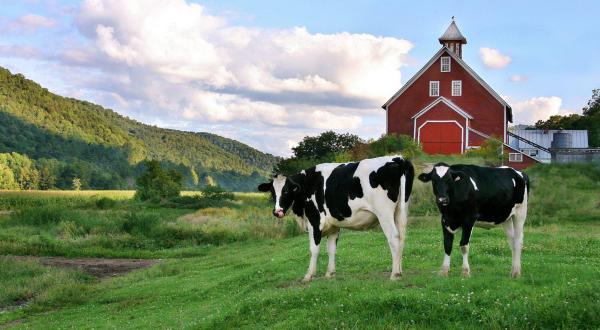 Few People Know You Can Spend The Night At This Gorgeous Working Farm In Vermont