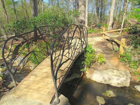 This Bog Garden In North Carolina Is Like An Enchanted Storybook Forest