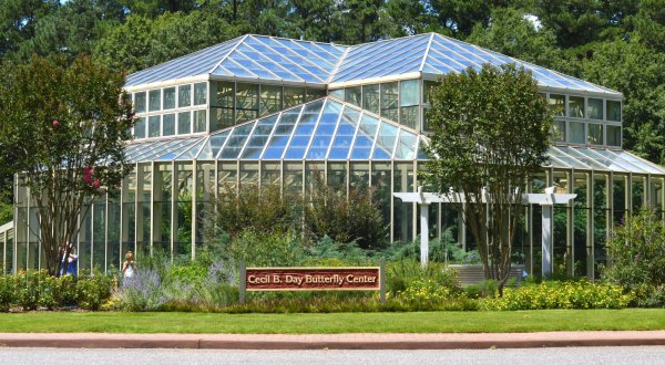 You’ll Want To Plan A Day Trip To Georgia’s Magical Butterfly House