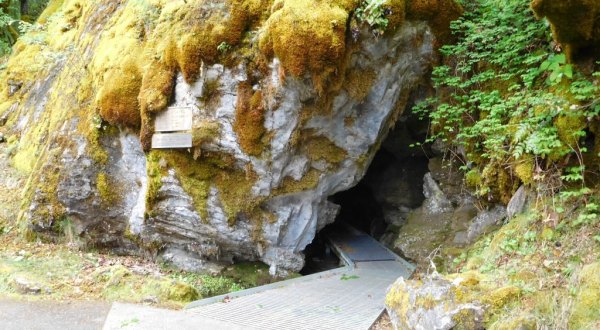 The 7 Most Amazing Cave Adventures You Can Have In Oregon