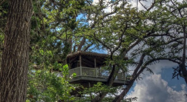 This Treehouse Resort In Texas May Just Be Your New Favorite Destination