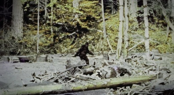 There’s A Bigfoot Festival Happening In Texas And You’ll Absolutely Want To Go