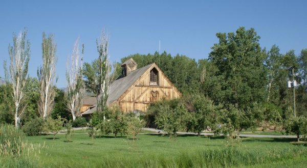 The Little-Known Farm In Utah That’s Perfect For A Family Day Trip