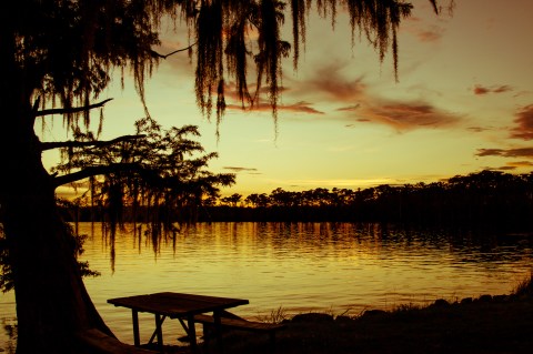 6 Lesser-Known State Parks Around New Orleans That Will Absolutely Amaze You