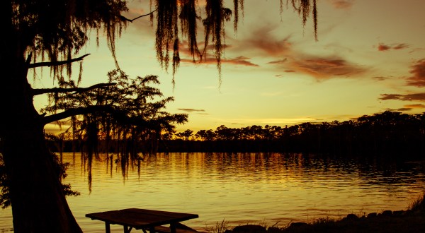 6 Lesser-Known State Parks Around New Orleans That Will Absolutely Amaze You