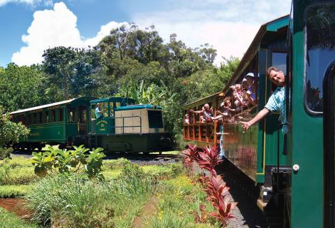 You’ll Absolutely Love A Ride On Hawaii’s Picturesque Plantation Train This Summer