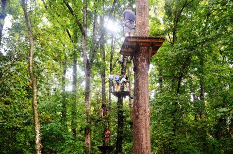 The Treetop Trail That Will Show You A Side Of Arkansas You've Never Seen Before
