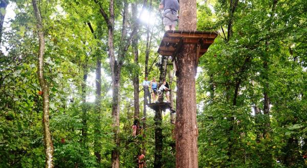 The Treetop Trail That Will Show You A Side Of Arkansas You’ve Never Seen Before
