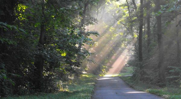 The Haunted Hike In Tennessee Will Send You Running For The Hills