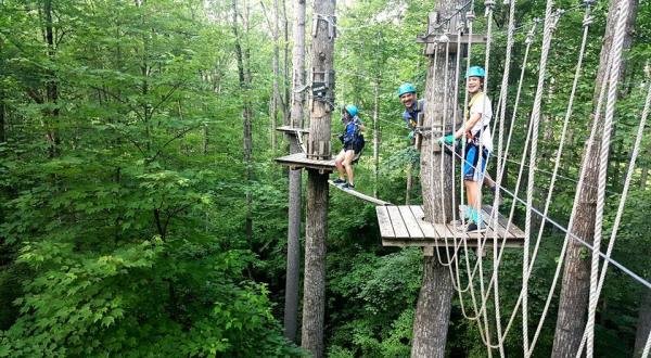 The Treetop Trail That Will Show You A Side Of West Virginia You’ve Never Seen Before
