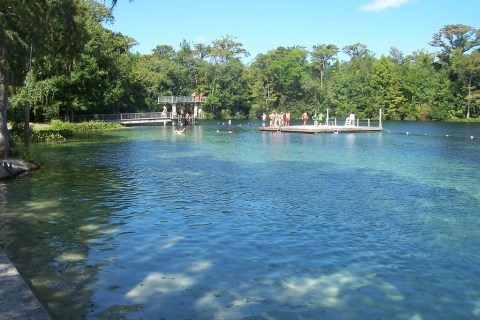 One Of The Largest And Deepest Freshwater Springs In The World Is Right Here In Florida