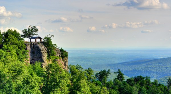 8 Easy And Beautiful Spring Hikes Everyone In Arkansas Will Love