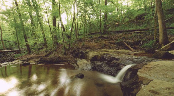 11 Nature Preserves In Georgia Worthy Of A Last Minute Spring Adventure